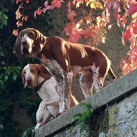 Villa Federici La Spezia Buitenkant foto
